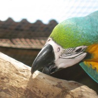 Foto de Foz do Iguacu