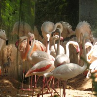 Foto de Foz do Iguacu