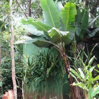 Foto de Foz do Iguacu