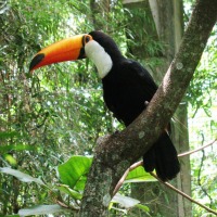 Foto de Foz do Iguacu