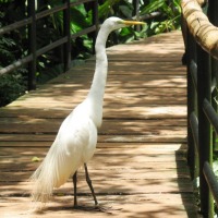 Foto de Foz do Iguacu