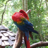 Foto de Foz do Iguacu