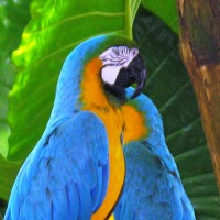 Foto de Foz do Iguacu