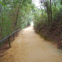 Foto de Alcala de Guadaira