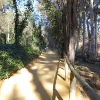 Foto de Alcala de Guadaira