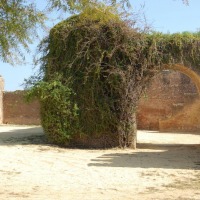 Foto de Alcala de Guadaira