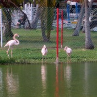 Foto de Varadero