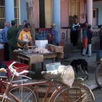 Foto de Viñares