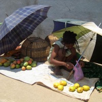 Foto de Ambositra