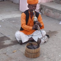Foto de Jaipur