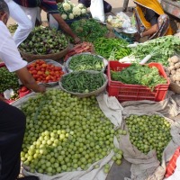 Foto de Pushkar