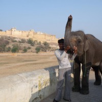 Foto de Jaipur