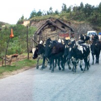 Foto de Ambalamanakana