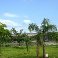 Foto de Foz do Iguacu