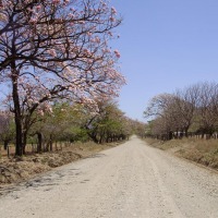 Foto de Guanacaste