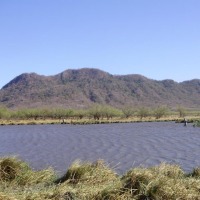 Foto de Guanacaste