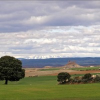Foto de Aguilar