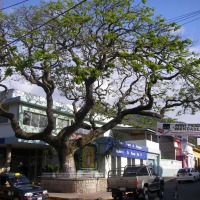 Foto de Matagalpa