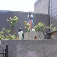 Foto de Guadalupe (San Jose)