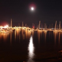 Foto de Punta del Este