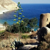 Foto de Cabo de gata