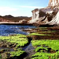 Foto de Cabo de Gata