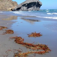 Foto de Cabo de Gata