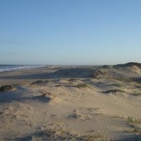Foto de Vuelta del Palmar (Rocha)
