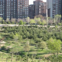 Foto de Madrid