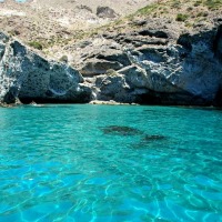 Foto de Cabo de Gata