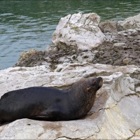 Foto de Santander