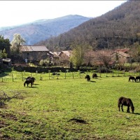 Foto de Barcena Mayor