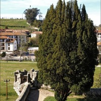 Foto de Comillas