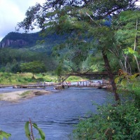Foto de Ranomafana