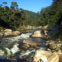 Foto de Ranomafana
