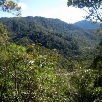 Foto de Ranomafana