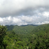 Foto de Ranomafana