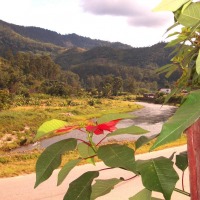 Foto de Ranomafana