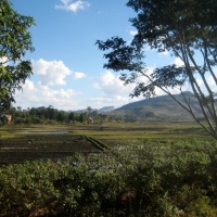 Foto de Sahambavy