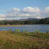 Foto de Sahambavy