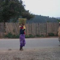 Foto de Sahambavy