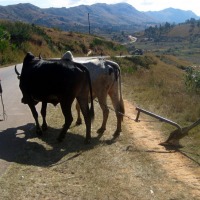 Foto de Ambalavao