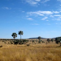 Foto de Ranohira