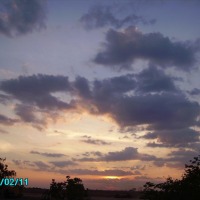 Foto de Guarico