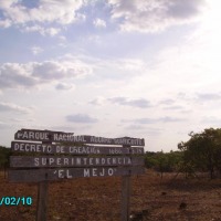 Foto de Aguaro (Guariquito)