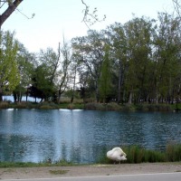 Foto de Banyoles