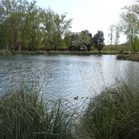 Foto de Banyoles