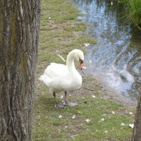 Foto de Banyoles