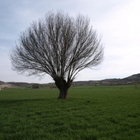 Foto de Peñafiel