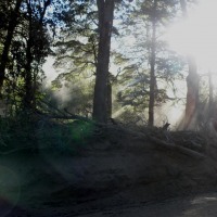 Foto de Villa Traful (Neuquén)
